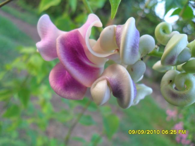 Name:  042.jpg
Views: 959
Size:  32.7 KB
