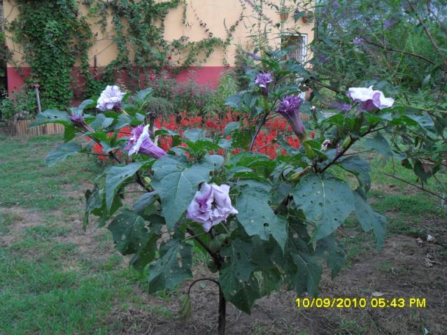 Name:  002.jpg
Views: 1774
Size:  69.9 KB