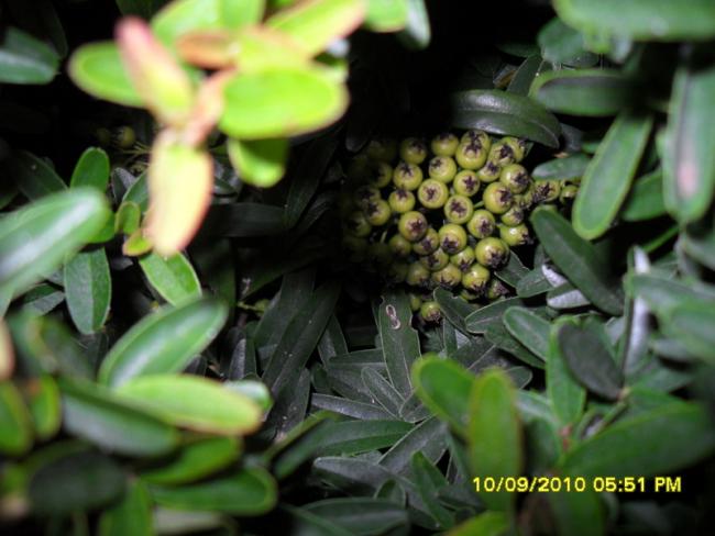 Name:  021.jpg
Views: 969
Size:  41.9 KB