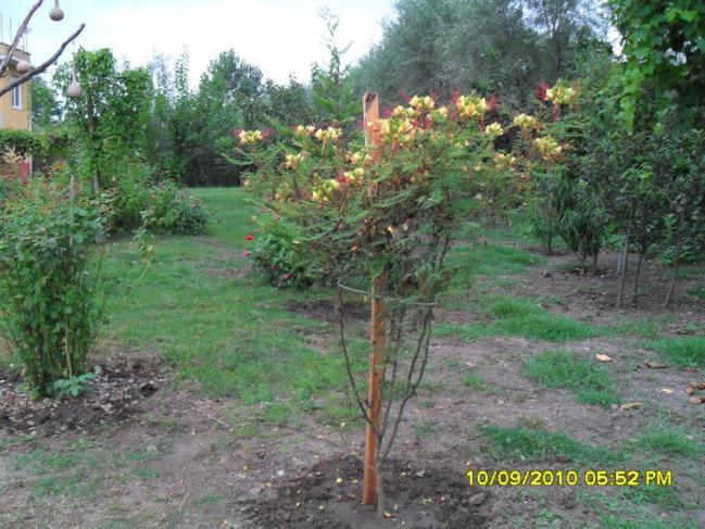 Name:  024.jpg
Views: 1657
Size:  70.2 KB