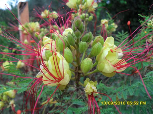 Name:  026.jpg
Views: 1069
Size:  57.0 KB