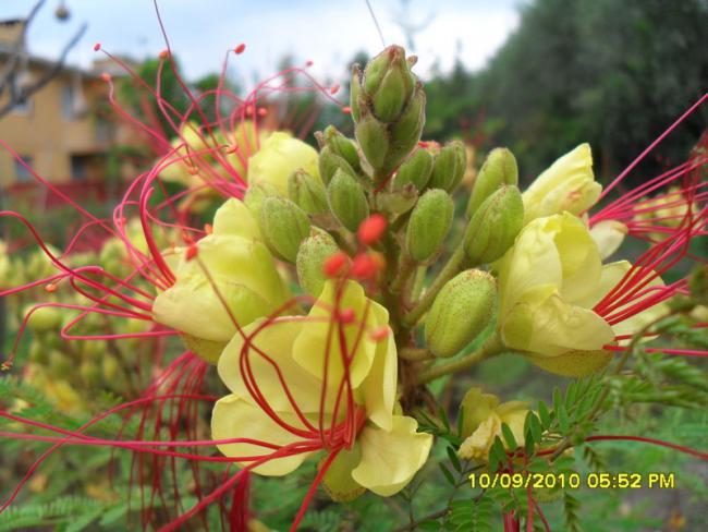Name:  027.jpg
Views: 1347
Size:  49.5 KB