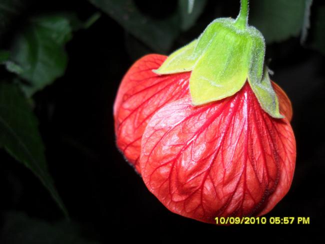 Name:  032.jpg
Views: 925
Size:  33.3 KB