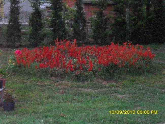 Name:  039.jpg
Views: 928
Size:  50.7 KB