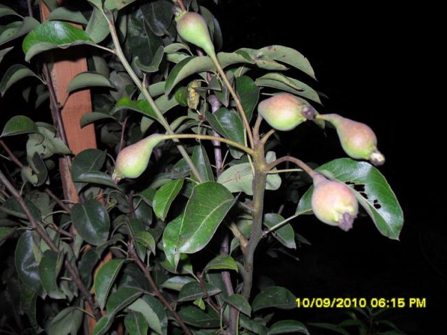 Name:  043.jpg
Views: 988
Size:  49.9 KB