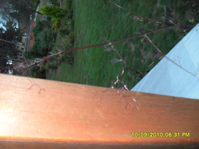 Name:  044.jpg
Views: 932
Size:  35.8 KB