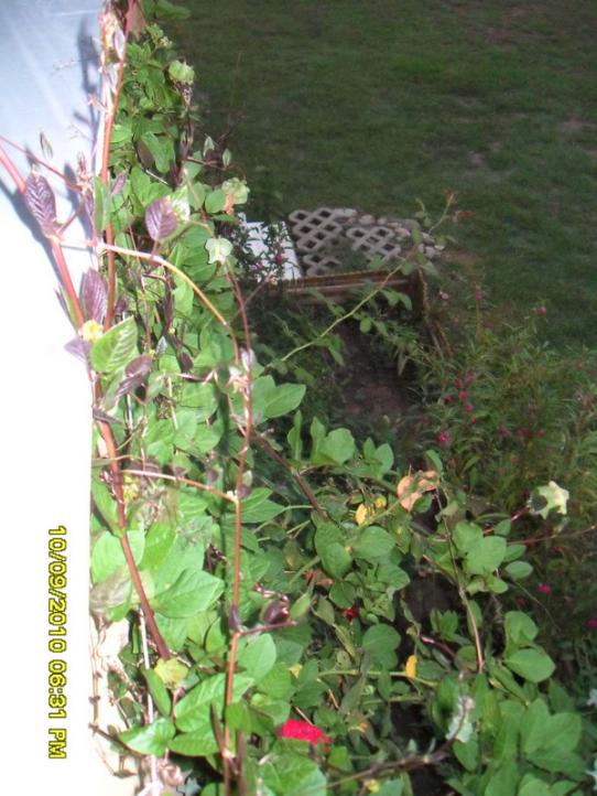 Name:  045.jpg
Views: 909
Size:  67.9 KB
