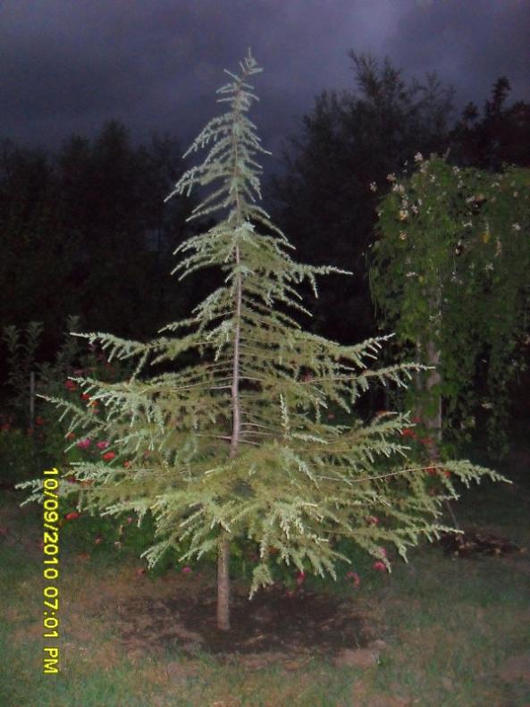 Name:  056.jpg
Views: 939
Size:  66.8 KB