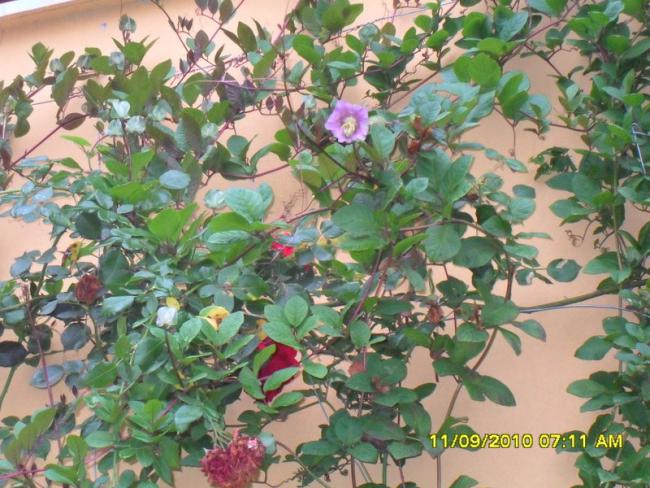 Name:  001.jpg
Views: 1236
Size:  68.1 KB