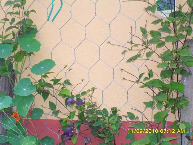 Name:  002.jpg
Views: 1082
Size:  57.7 KB