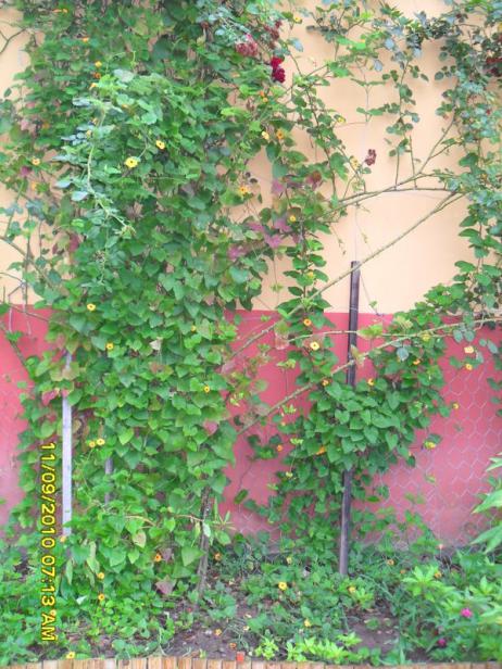 Name:  004.jpg
Views: 961
Size:  71.9 KB