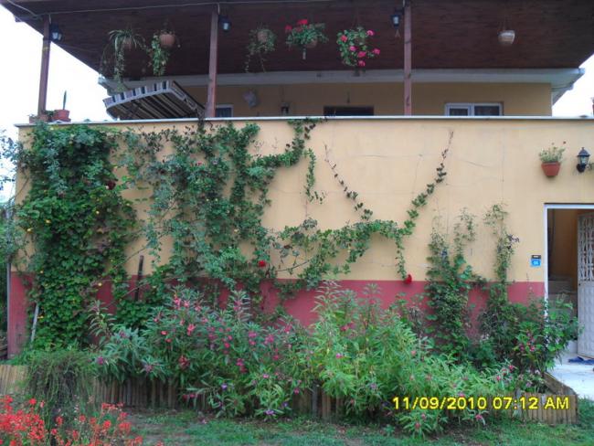 Name:  003.jpg
Views: 1129
Size:  62.3 KB