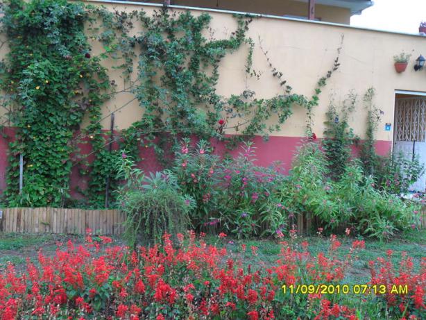 Name:  005.jpg
Views: 950
Size:  71.2 KB