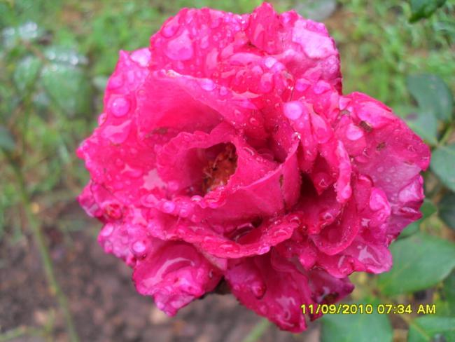 Name:  013.jpg
Views: 1551
Size:  44.3 KB