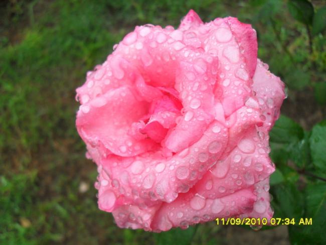 Name:  014.jpg
Views: 1021
Size:  39.1 KB