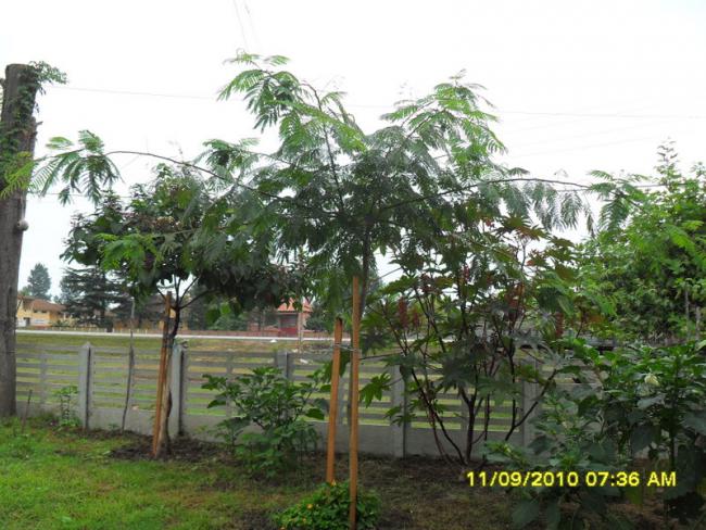 Name:  020.jpg
Views: 796
Size:  64.4 KB