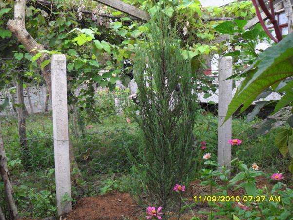 Name:  022.jpg
Views: 752
Size:  71.7 KB