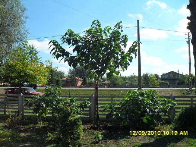 Name:  001.jpg
Views: 795
Size:  67.6 KB