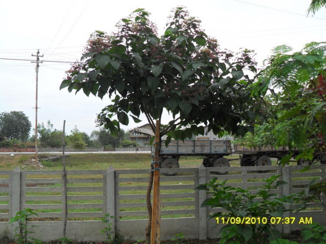 Name:  023.jpg
Views: 757
Size:  59.9 KB