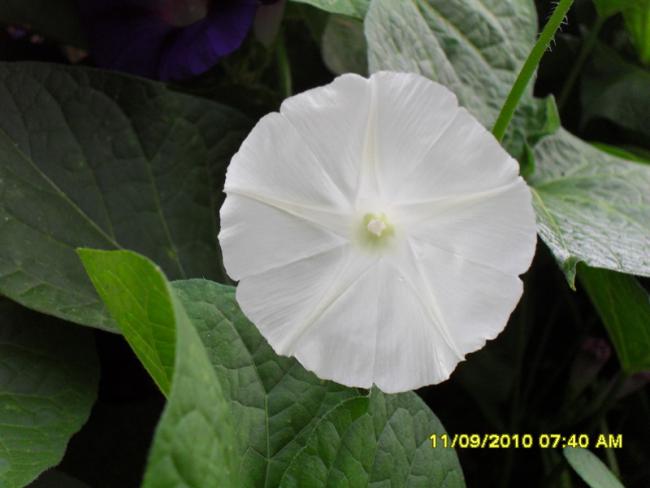 Name:  032.jpg
Views: 725
Size:  30.9 KB