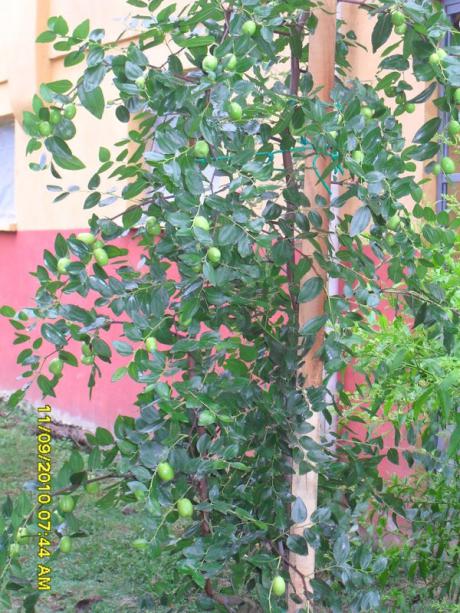 Name:  039.jpg
Views: 756
Size:  73.1 KB
