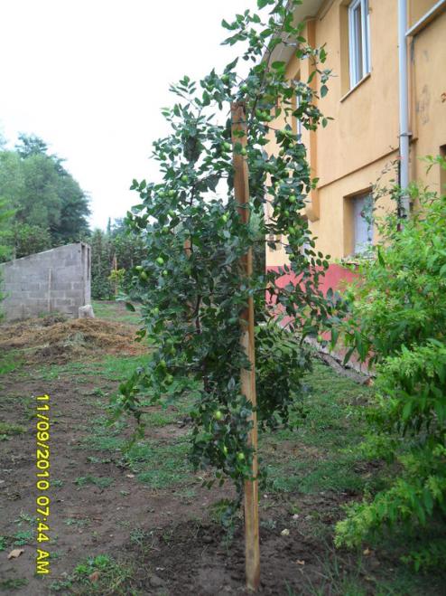 Name:  042.jpg
Views: 730
Size:  70.5 KB