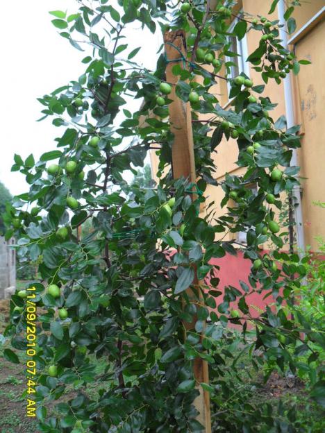 Name:  041.jpg
Views: 743
Size:  72.6 KB