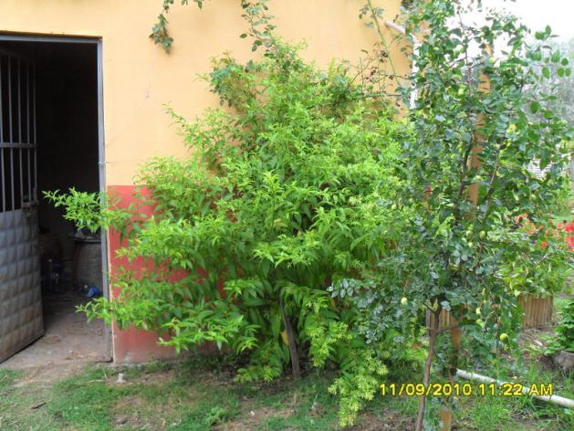 Name:  065.jpg
Views: 680
Size:  70.7 KB