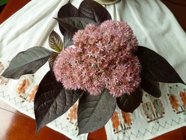 Name:  Aranjman 12 Eyll 2010 001.JPG
Views: 1772
Size:  59.6 KB