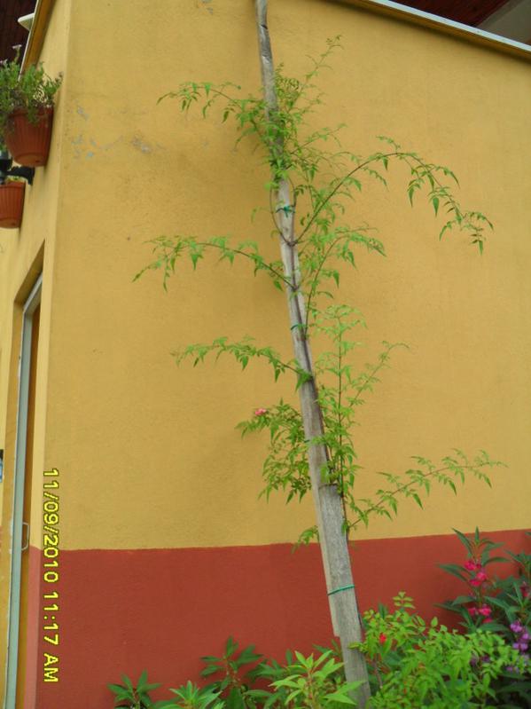 Name:  055.jpg
Views: 692
Size:  52.7 KB