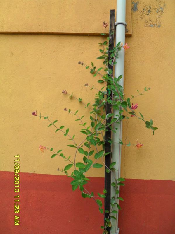 Name:  067.jpg
Views: 679
Size:  55.0 KB
