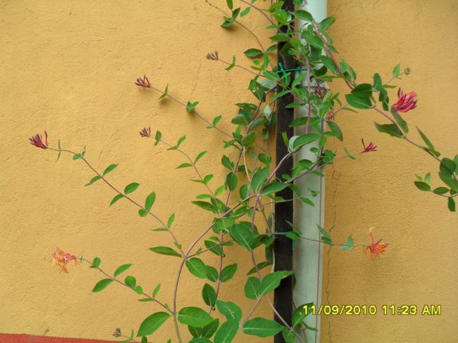 Name:  068.jpg
Views: 696
Size:  48.8 KB