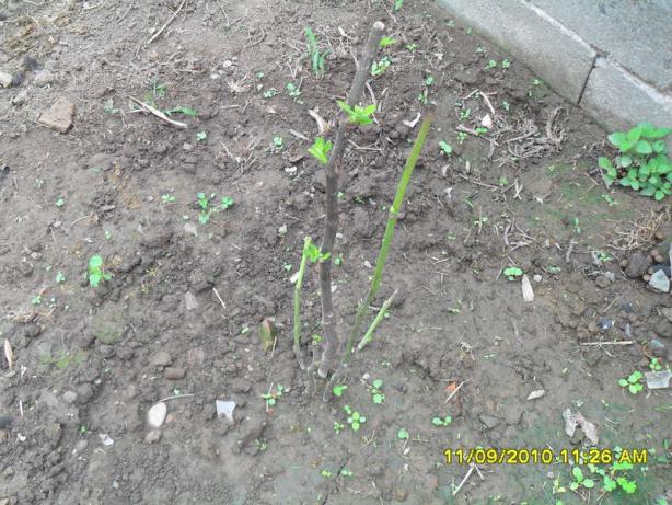 Name:  080.jpg
Views: 732
Size:  71.1 KB