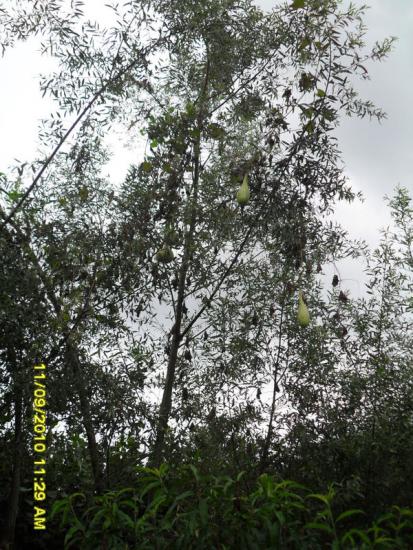 Name:  089.jpg
Views: 655
Size:  74.2 KB