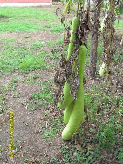 Name:  090.jpg
Views: 706
Size:  73.0 KB