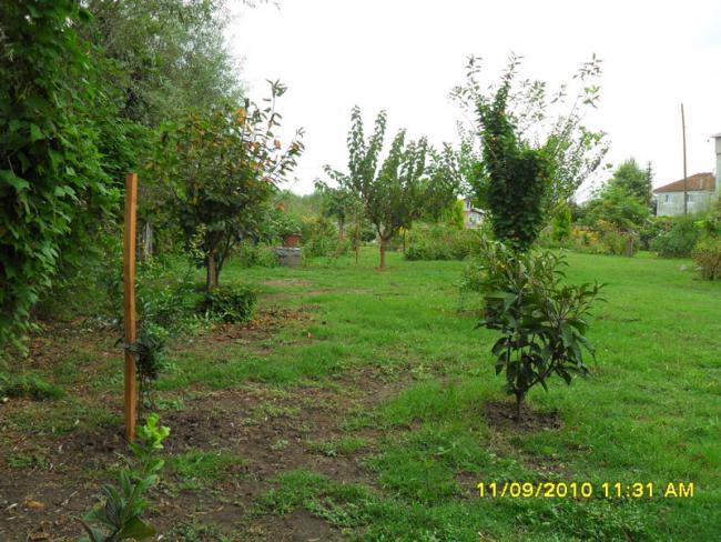 Name:  102.jpg
Views: 691
Size:  68.6 KB