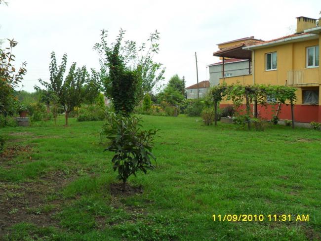 Name:  103.jpg
Views: 672
Size:  57.7 KB