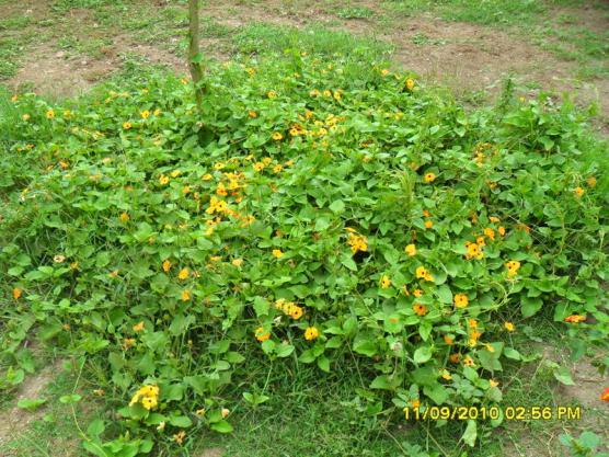 Name:  153.jpg
Views: 857
Size:  73.1 KB