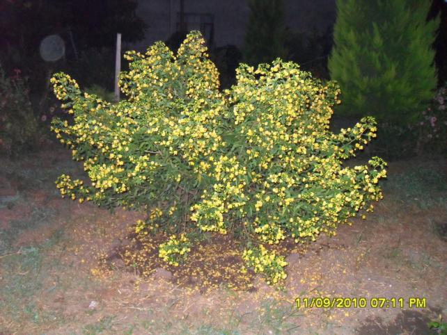 Name:  180.jpg
Views: 493
Size:  70.7 KB