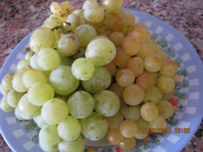 Name:  zm.jpg
Views: 1035
Size:  38.6 KB