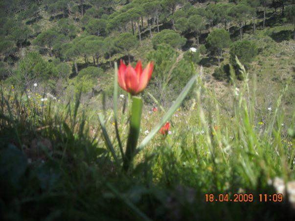 Name:  4838_94184463955_584998955_1848570_6182311_n.jpg
Views: 603
Size:  47.5 KB
