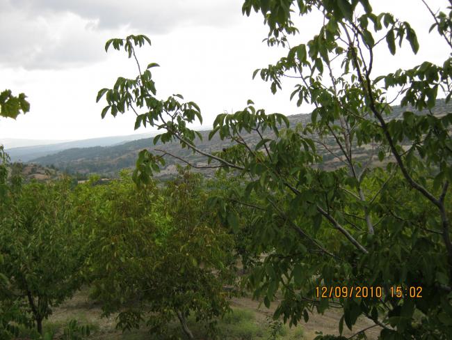 Name:  bahe.jpg
Views: 1008
Size:  60.8 KB