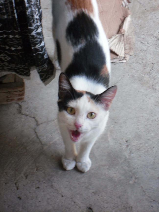 Name:  SDC11225.jpg
Views: 561
Size:  54.5 KB