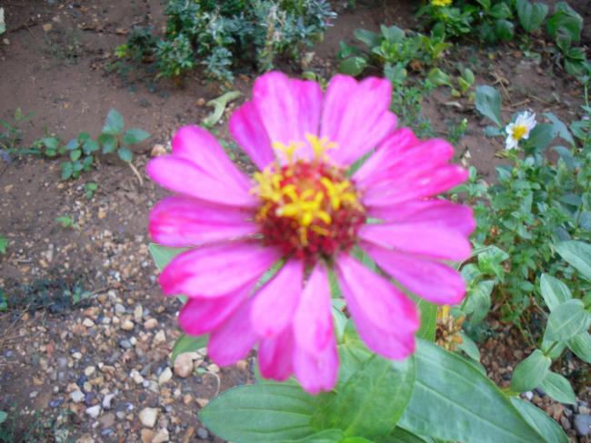 Name:  SDC11282.jpg
Views: 567
Size:  56.9 KB