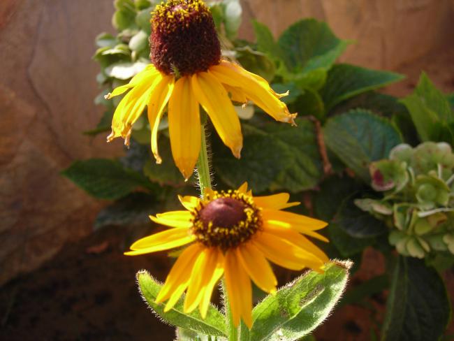 Name:  DSCN3256.jpg
Views: 521
Size:  39.9 KB