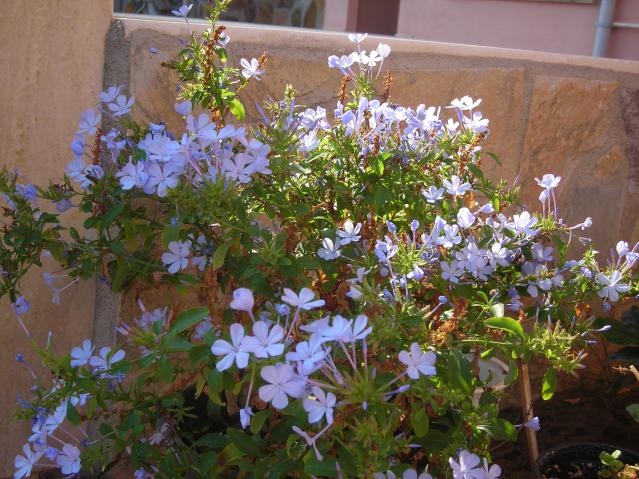 Name:  DSCN3255.jpg
Views: 537
Size:  69.8 KB