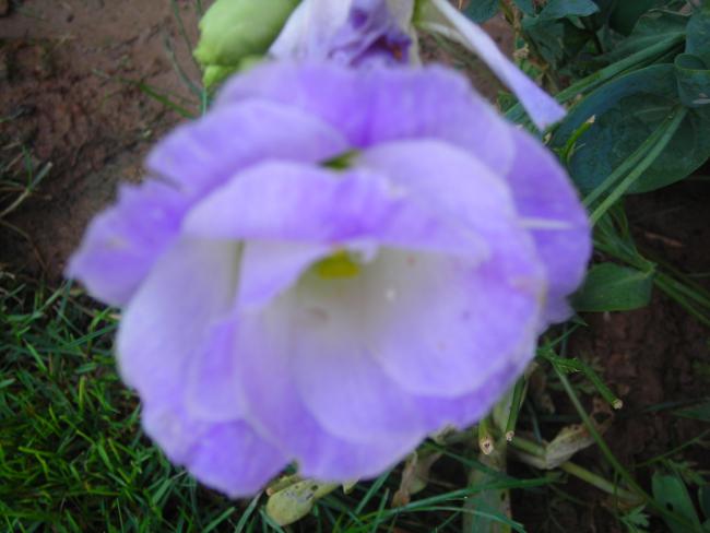 Name:  DSCN3258.jpg
Views: 501
Size:  34.8 KB