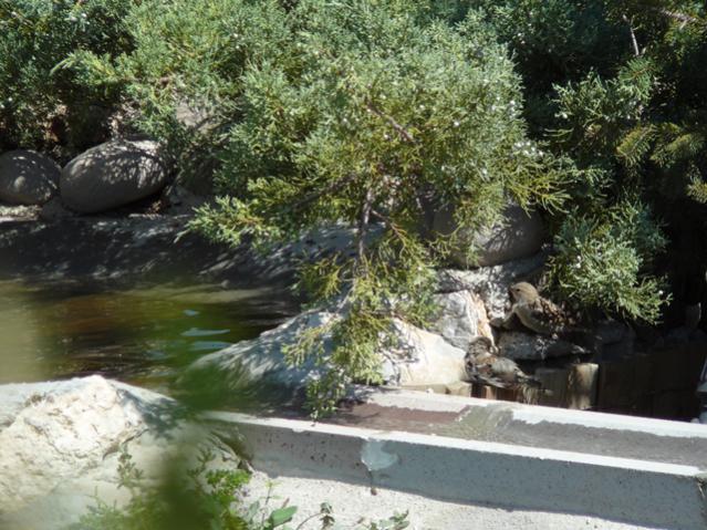 Name:  P1150284.jpg
Views: 942
Size:  68.7 KB