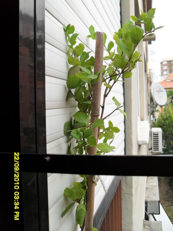 Name:  005.jpg
Views: 739
Size:  60.5 KB
