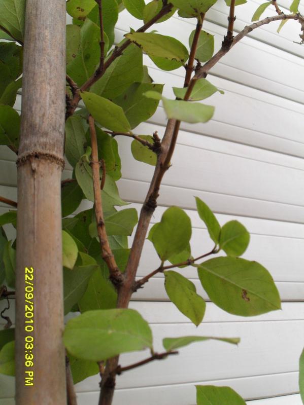 Name:  007.jpg
Views: 734
Size:  56.2 KB